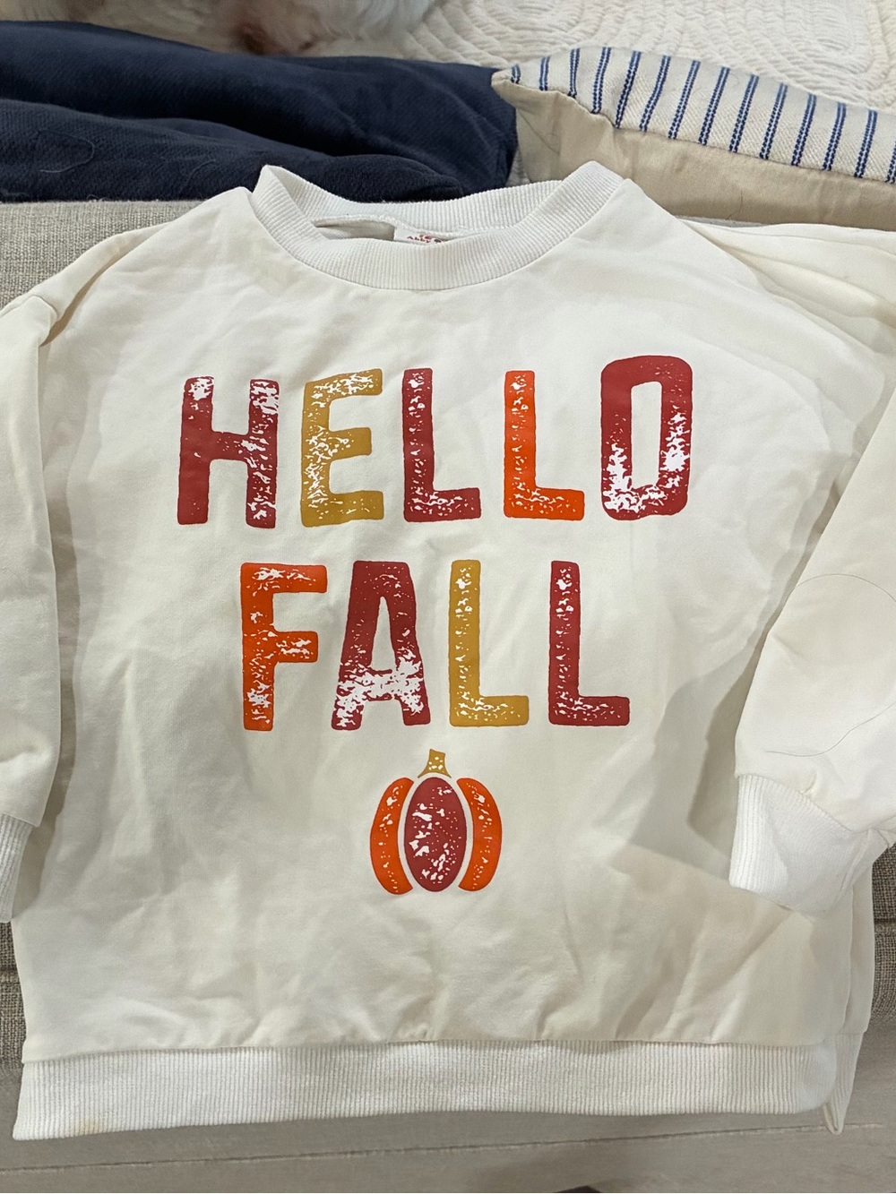 Kids "Hello Fall" Cream Sweatshirt - Seasonal Graphic Top